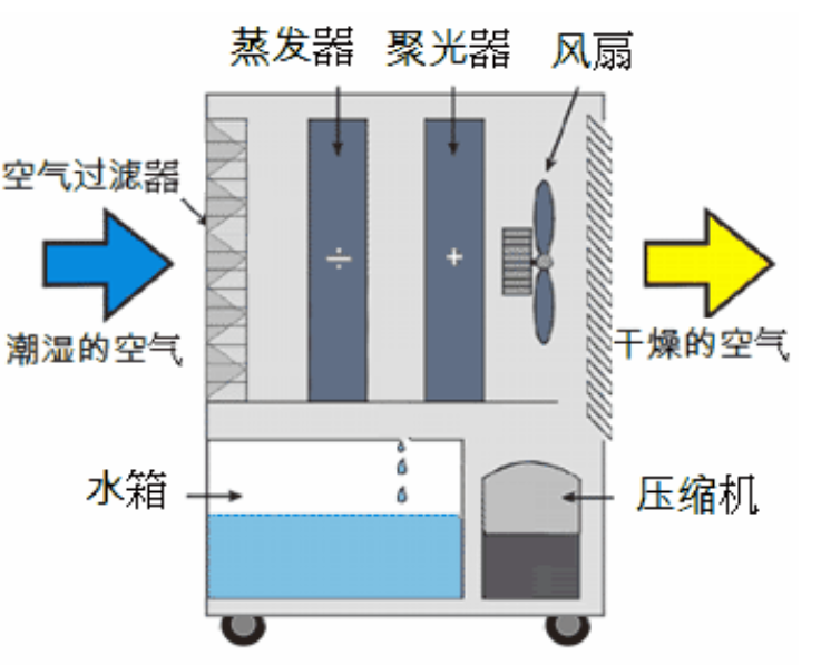 转轮蕾丝视频污污污启动不正常的原因