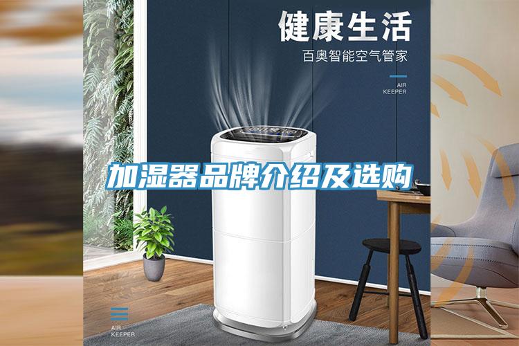 加湿器品牌介绍及选购