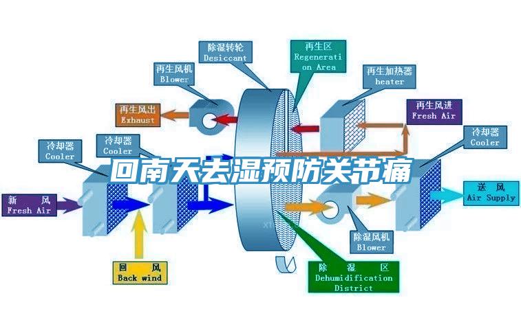 回南天去湿预防关节痛