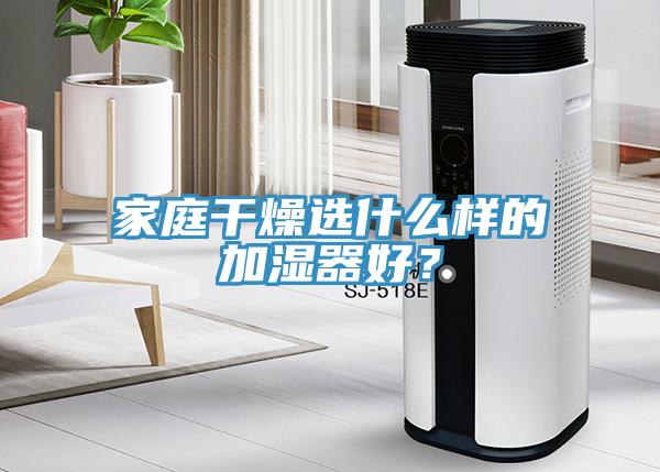 家庭干燥选什么样的加湿器好？