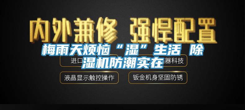 梅雨天烦恼“湿”生活 蕾丝视频污污污防潮实在