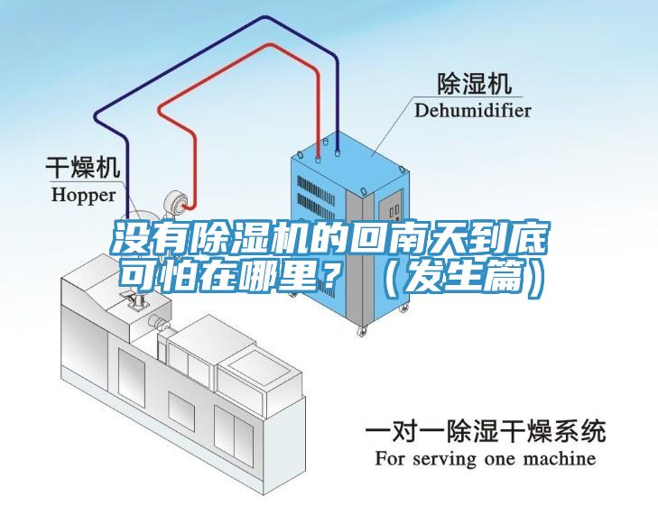 没有蕾丝视频污污污的回南天到底可怕在哪里？（发生篇）