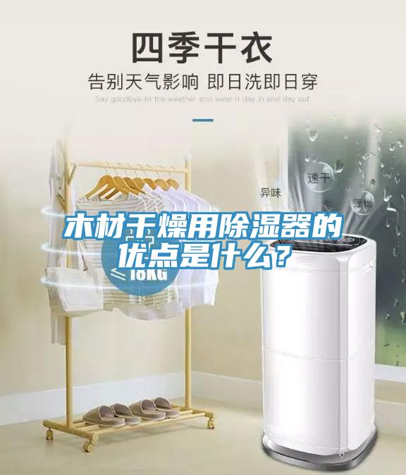 木材干燥用除湿器的优点是什么？