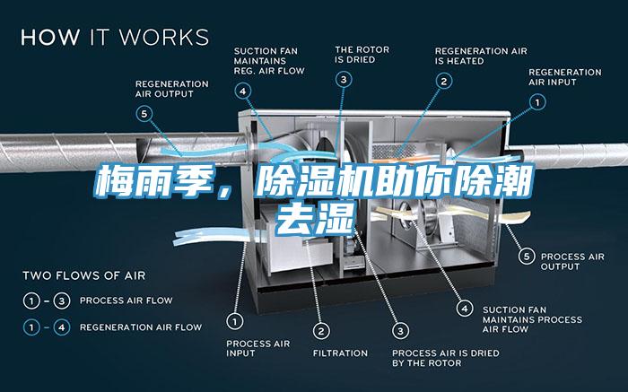 梅雨季，蕾丝视频污污污助你除潮去湿