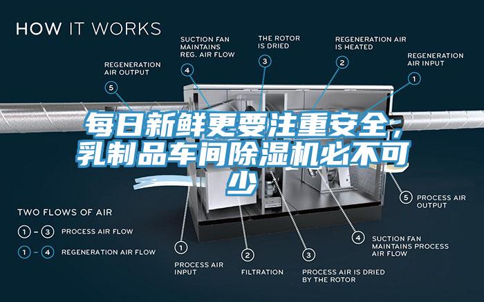 每日新鲜更要注重安全，乳制品车间蕾丝视频污污污必不可少