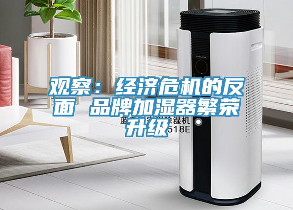 观察：经济危机的反面 品牌加湿器繁荣升级