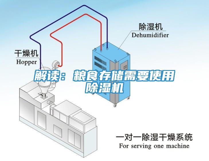 解读：粮食存储需要使用蕾丝视频污污污