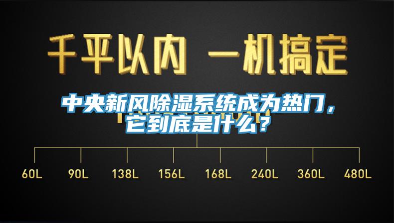 中央新风除湿系统成为热门，它到底是什么？