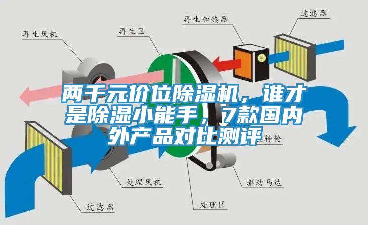 两千元价位蕾丝视频污污污，谁才是除湿小能手，7款国内外产品对比测评