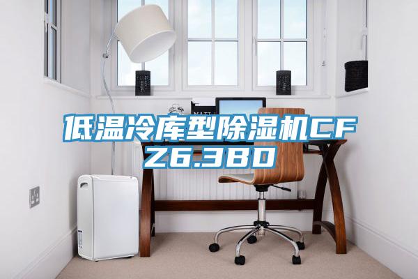 低温冷库型蕾丝视频污污污CFZ6.3BD