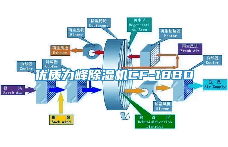 优质力峰蕾丝视频污污污CF-18BD