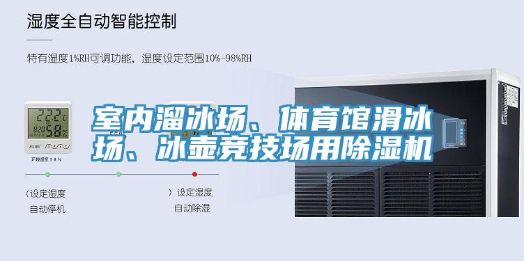 室内溜冰场、体育馆滑冰场、冰壶竞技场用蕾丝视频污污污