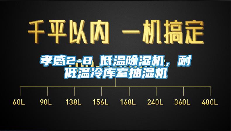 孝感2-8℃低温蕾丝视频污污污，耐低温冷库室抽湿机