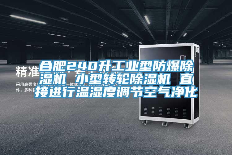 合肥240升工业型防爆蕾丝视频污污污 小型转轮蕾丝视频污污污 直接进行温湿度调节空气净化