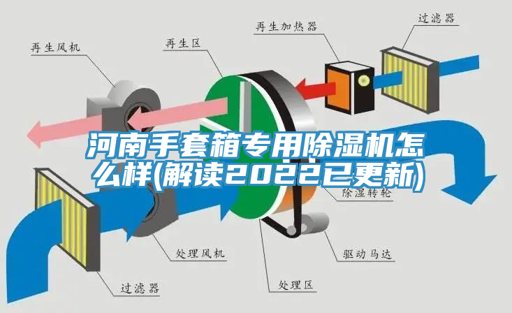 河南手套箱专用蕾丝视频污污污怎么样(解读2022已更新)