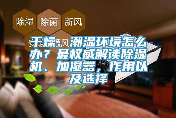 干燥、潮湿环境怎么办？最权威解读蕾丝视频污污污、加湿器，作用以及选择