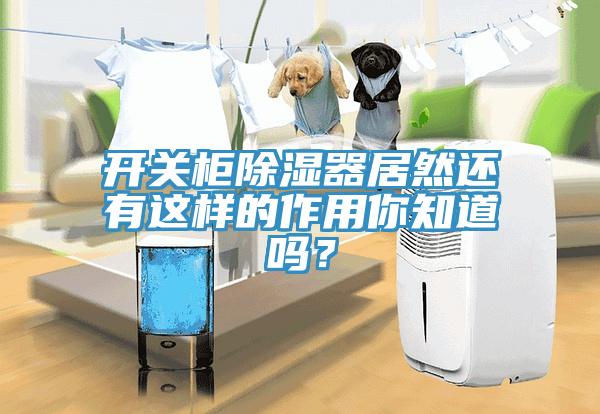 开关柜除湿器居然还有这样的作用你知道吗？