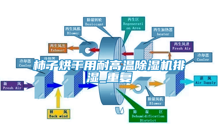 柿子烘干用耐高温蕾丝视频污污污排湿_重复