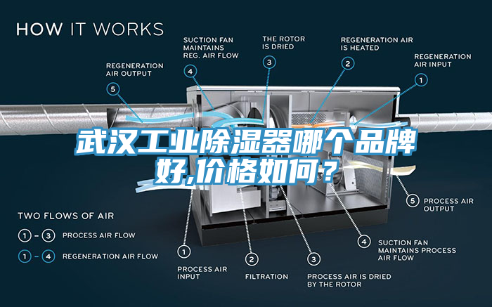 武汉工业除湿器哪个品牌好,价格如何？