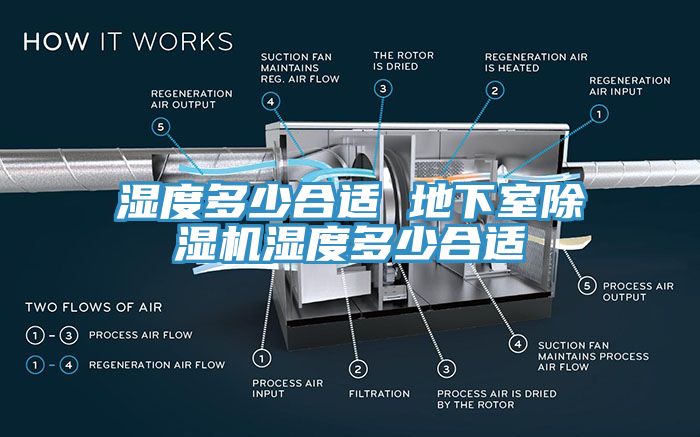 湿度多少合适 地下室蕾丝视频污污污湿度多少合适