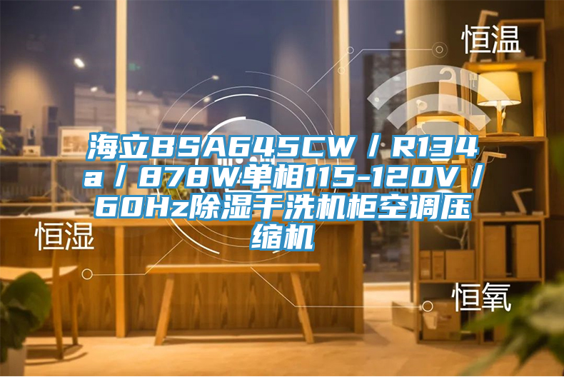 海立BSA645CW／R134a／878W单相115-120V／60Hz除湿干洗机柜空调压缩机