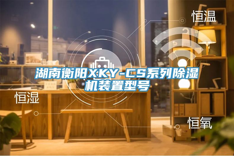 湖南衡阳XKY-CS系列蕾丝视频污污污装置型号