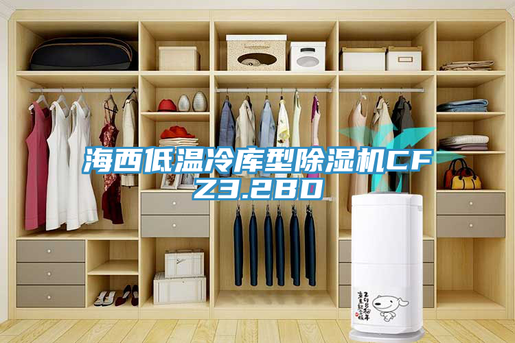 海西低温冷库型蕾丝视频污污污CFZ3.2BD