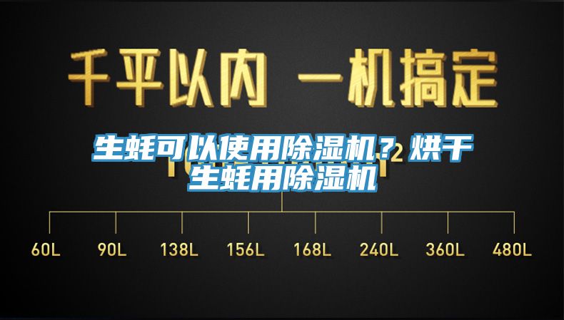 生蚝可以使用蕾丝视频污污污？烘干生蚝用蕾丝视频污污污