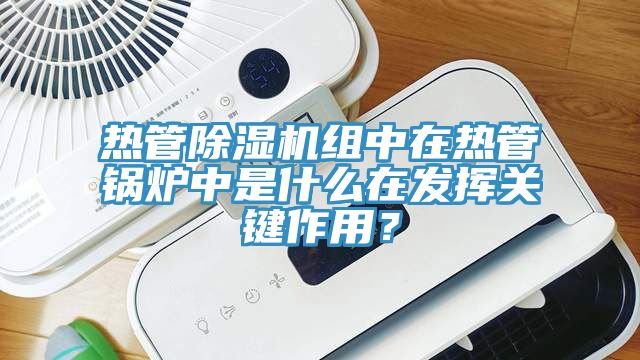 热管蕾丝视频污污污组中在热管锅炉中是什么在发挥关键作用？