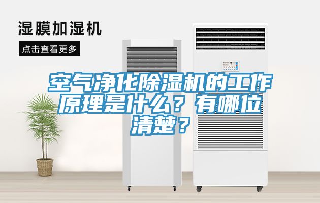 空气净化蕾丝视频污污污的工作原理是什么？有哪位清楚？