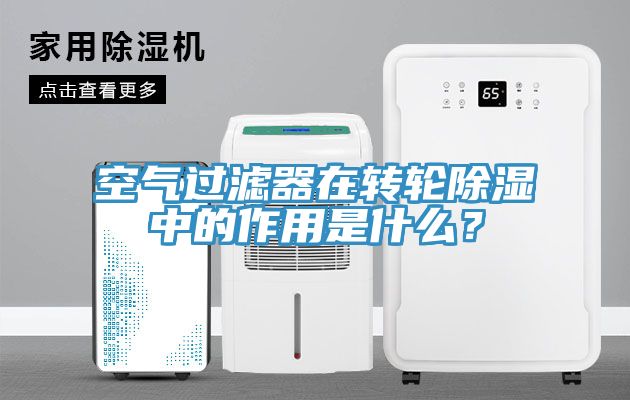 空气过滤器在转轮除湿中的作用是什么？