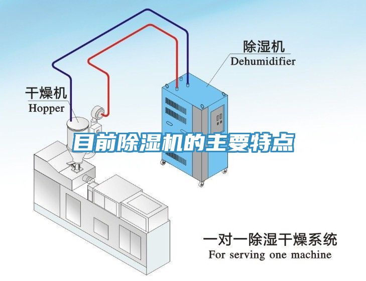 目前蕾丝视频污污污的主要特点