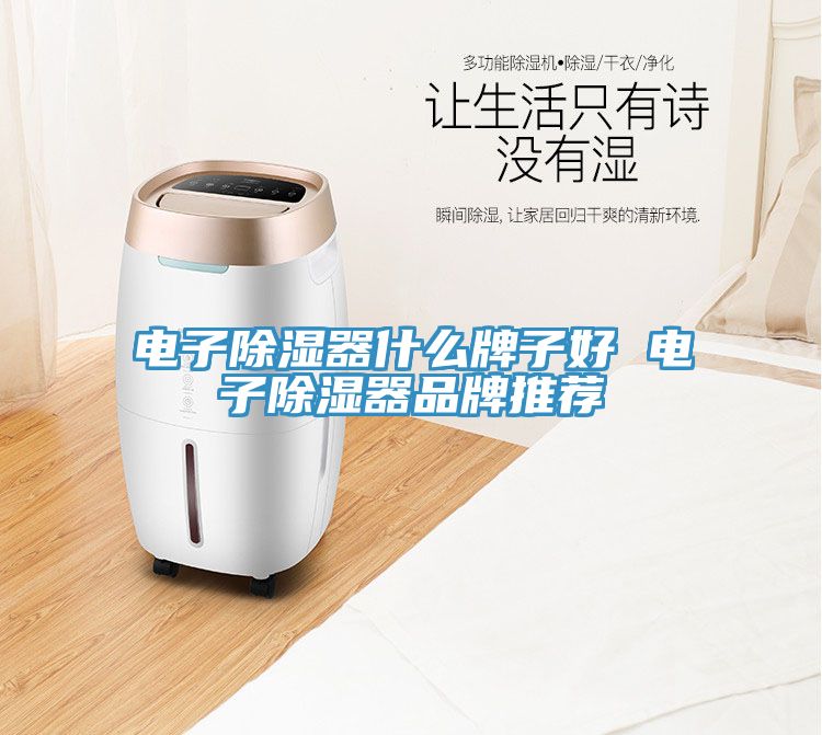 电子除湿器什么牌子好 电子除湿器品牌推荐