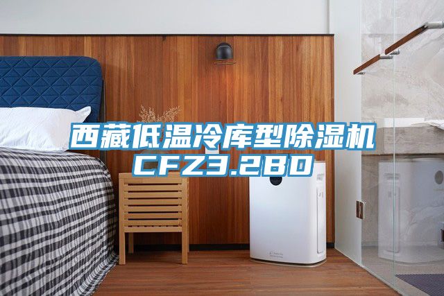 西藏低温冷库型蕾丝视频污污污CFZ3.2BD