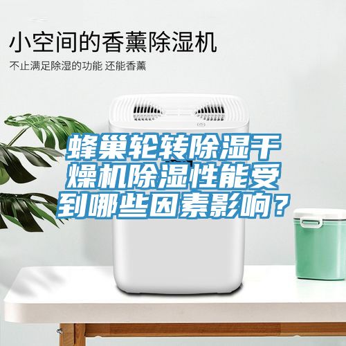 蜂巢轮转除湿干燥机除湿性能受到哪些因素影响？