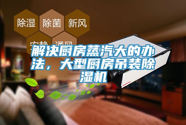 解决厨房蒸汽大的办法，大型厨房吊装蕾丝视频污污污