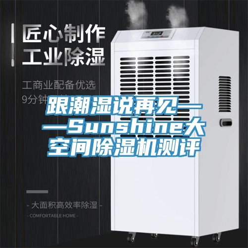 跟潮湿说再见——Sunshine大空间蕾丝视频污污污测评