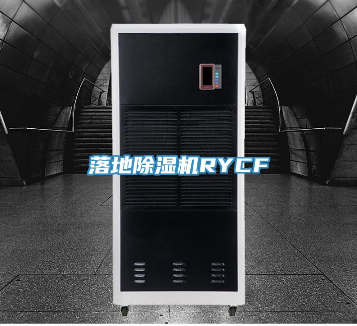 落地蕾丝视频污污污RYCF