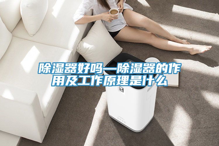 除湿器好吗—除湿器的作用及工作原理是什么