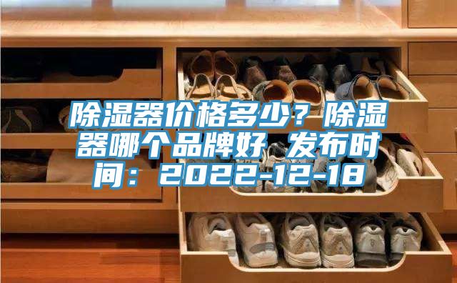 除湿器价格多少？除湿器哪个品牌好 发布时间：2022-12-18