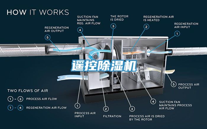 遥控蕾丝视频污污污