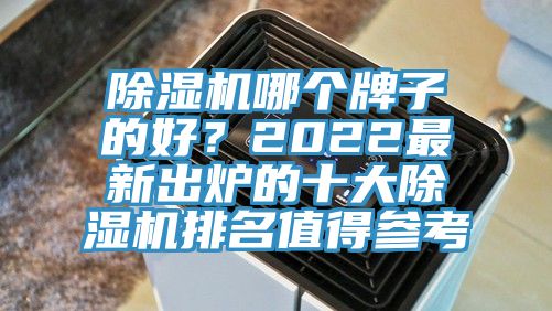 蕾丝视频污污污哪个牌子的好？2022最新出炉的十大蕾丝视频污污污排名值得参考