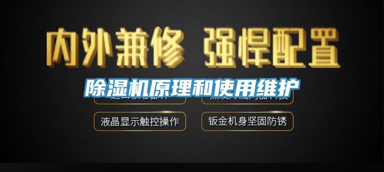 蕾丝视频污污污原理和使用维护