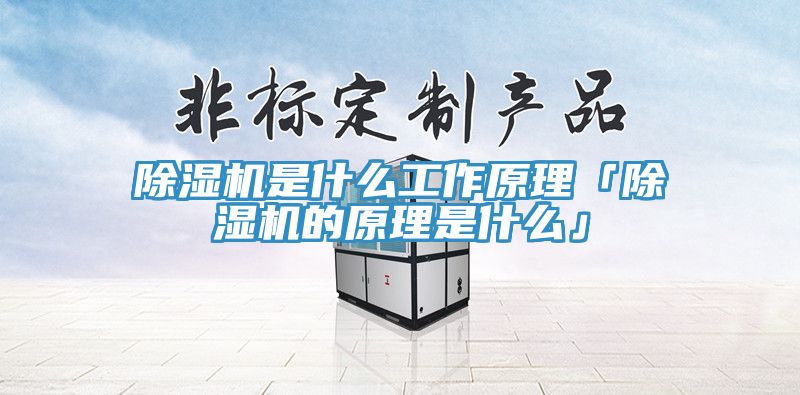 蕾丝视频污污污是什么工作原理「蕾丝视频污污污的原理是什么」