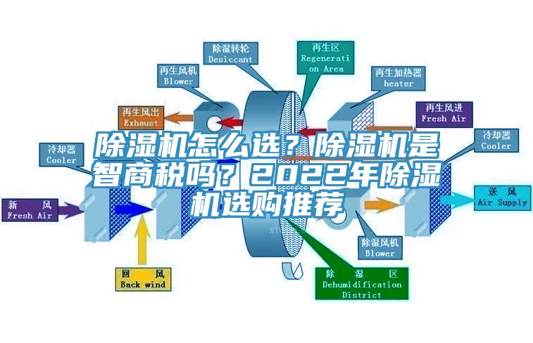 蕾丝视频污污污怎么选？蕾丝视频污污污是智商税吗？2022年蕾丝视频污污污选购推荐