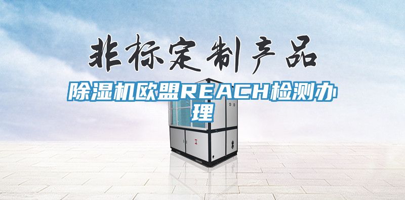 蕾丝视频污污污欧盟REACH检测办理